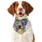 Preview: Hunde Bandana, Halstuch für Hunde, mit buntem Hundemotiv Tayra